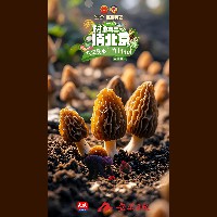 Buy Now Muvee Reviews Bootstrap HTML5 Template